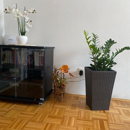 Apartment Miana Trogir Eksteriør billede